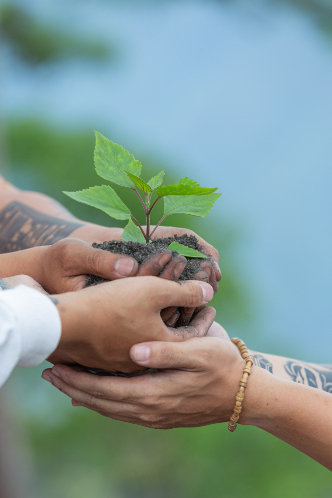 Environment, for the next generation